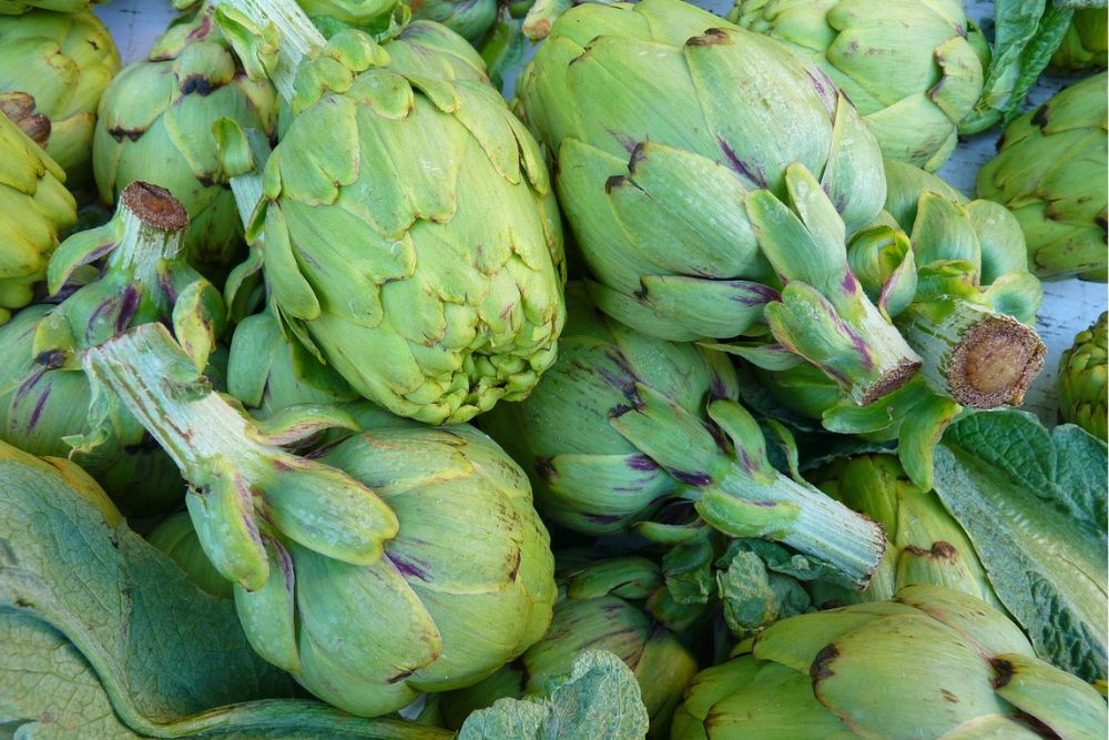 ARTICHOKE